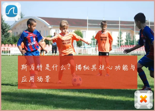 斯马特是什么？揭秘其核心功能与应用场景