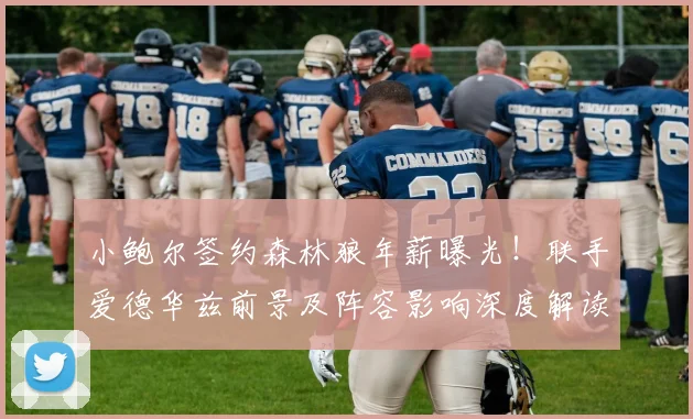 小鲍尔签约森林狼年薪曝光!联手爱德华兹前景及阵容影响深度解读